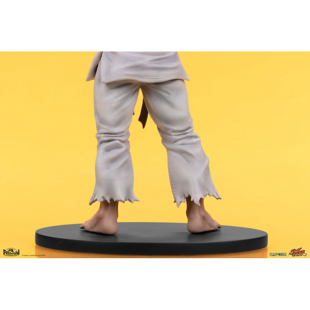 Ryu & Dan - Street Fighter - PCS 1/10 Scale Statue